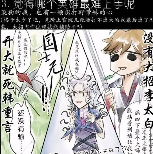 王者荣耀玩家对英雄的理解,韩信最难玩,李白和元歌最坑
