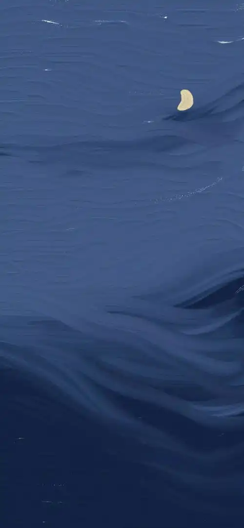 2019.12.30丨抖音超火壁纸
