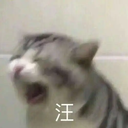 你有什么清奇有趣的表情包
