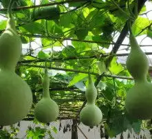 黄页88高清图片
