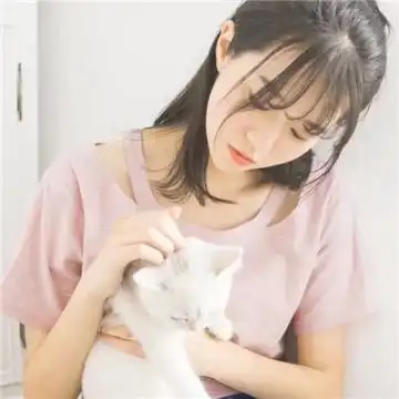 2020抱动物的女生头像大全可爱说故事的人最后往往感动了自己
