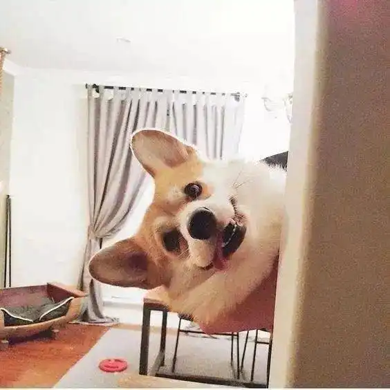 头像拥之则安,伴之则暖
