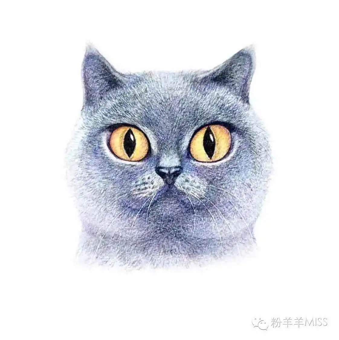 是时候告诉你们我都整了哪儿了
