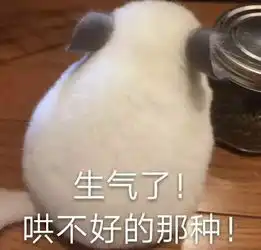 美女,我可以撩你吗
