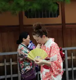 风情万种的祉园艺妓街

