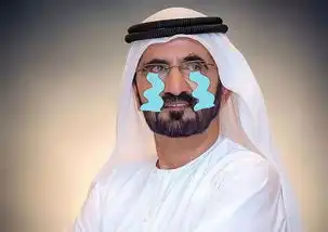 扒一扒迪拜酋长坐拥700亿身家,王妃却带着孩子和钱跑了
