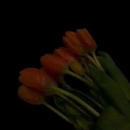 暗色系背景图种自己的花爱唯美图片我要个性网
