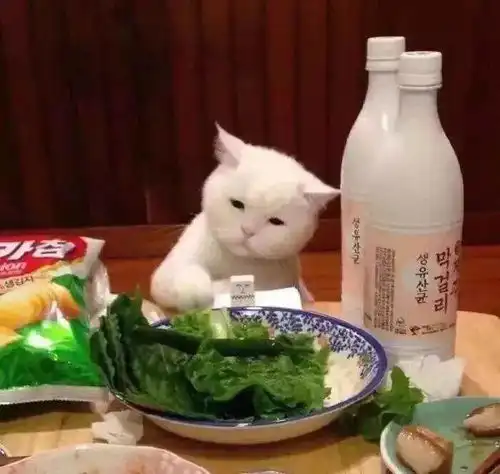 笑到肚子疼的傻雕文案
