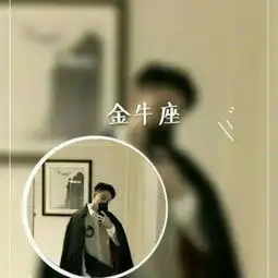 十二星座主题的情侣头像

