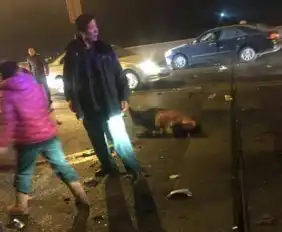 郑州一男子被捉奸街头大喊不要娘只要小三图
