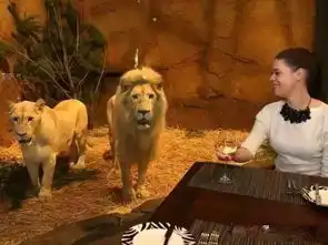 猎奇全球最兽性酒店你敢住吗
