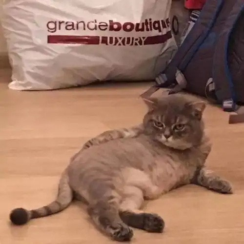 头像有了新欢旧爱就是个屁
