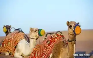 你眼中的迪拜vs真实的迪拜
