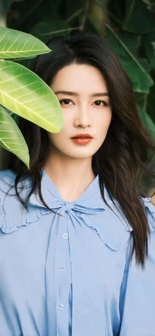 写真合集李沁
