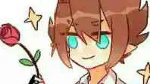 自己试着配了一下
