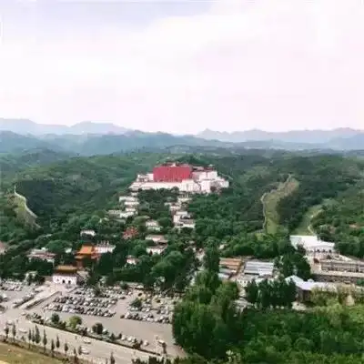 2023最新色彩森林风景头像
