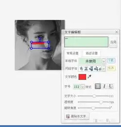 如何用美图秀秀做到以下效果,就是在文字后有个颜色框框

