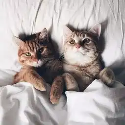 为什么说低质量的长期陪伴,不如高质量的短期相处
