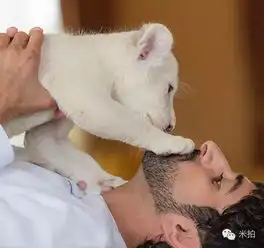 他死了,才34岁仅仅因为是土豪女生就哭晕了
