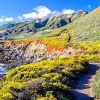 快手图像带风景的图片微信头像图片大全
