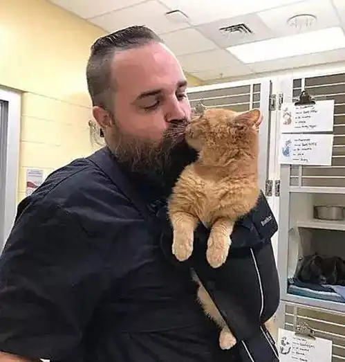 主人精心设计布兜,把15岁橘猫挂于胸前,画面让人暖心窝
