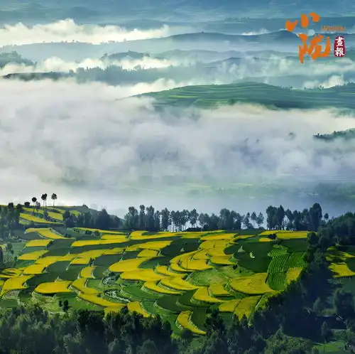 绿色和政山水如画
