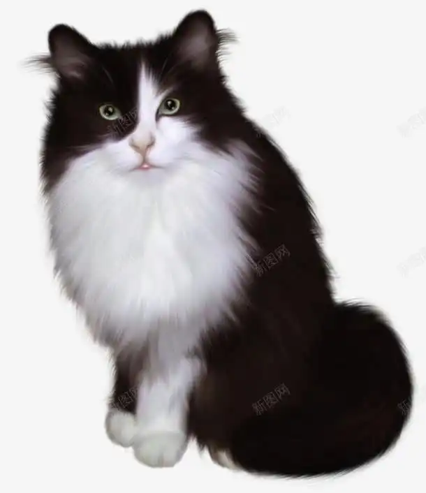 手绘猫咪高清素材png页面网页平面电商创意素材png素材萌宠素材
