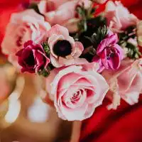 清新花束头像,浪漫的情人节花束图片
