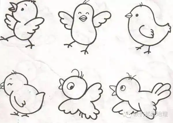 够教师一生受用的简笔画
