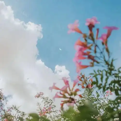 背景图没有梦想,何必远方
