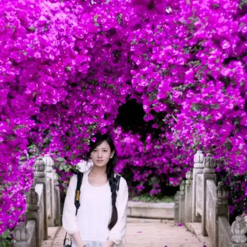 程序员不只是抠脚大汉代码女神清纯照曝光
