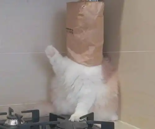 沙雕又可爱的朋友圈文案
