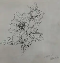 白描心得
