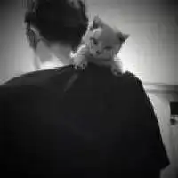 一个男的抱着猫的头像微信头像图片大全
