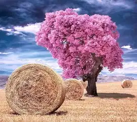 吸引女人的个性签名,优雅有内涵,让人忍不住收藏
