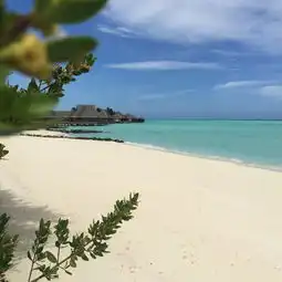 梦想中的,被忽略的海量图片
