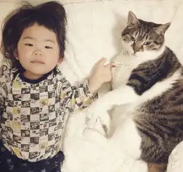 生个孩子,养只猫,生活更美好
