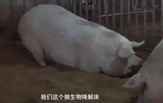 今日大小事丨平遥人民医院有了自助服务机,看病更方便了

