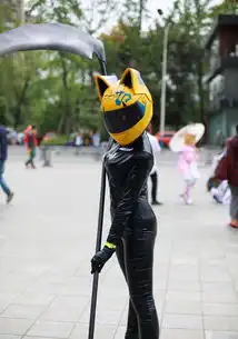 成都举行西南最大动漫展性感萌妹频频抢镜
