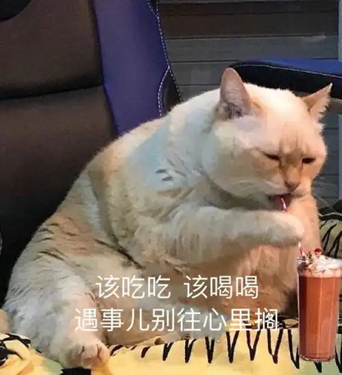 超有意思的朋友圈沙雕文案
