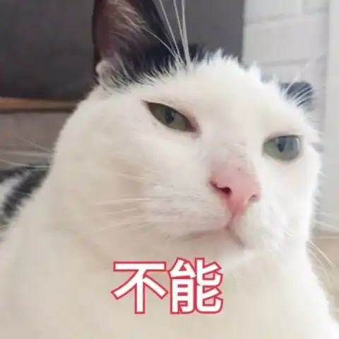 如何追到天蝎座
