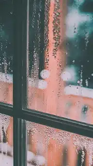 这世界上有什么糖是苦的吗有啊她的喜糖旅游频道
