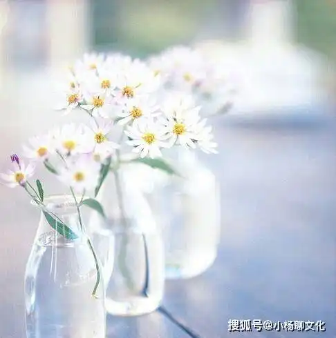 人生感悟图片带字,每句都让人深有感触
