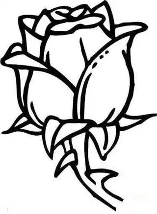 美丽的荷花简笔画
