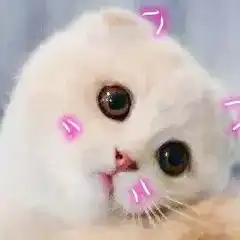 关于月经,你需要知道这些事
