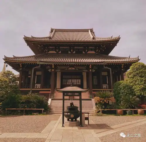 你有多久没见过萤火虫了
