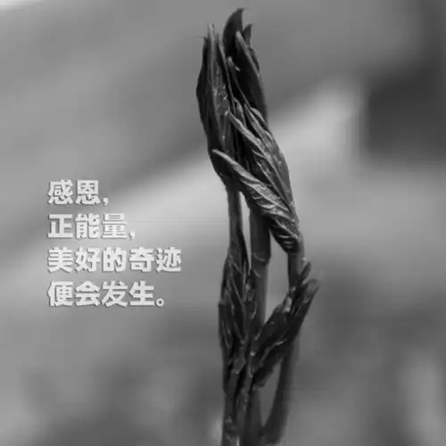 实践比学习重要

