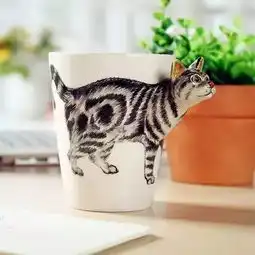 铲屎官们,快来看看这些喵星人好物
