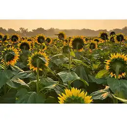 jpg海报22jpg格式海报22素材图片jpg海报22设计模板我图网
