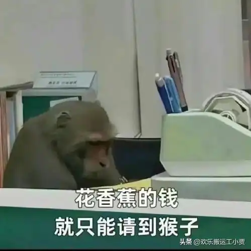 打工人太难了上班连微信头像都要管
